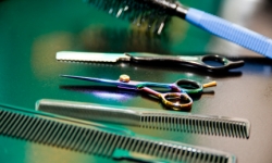 Skin Services